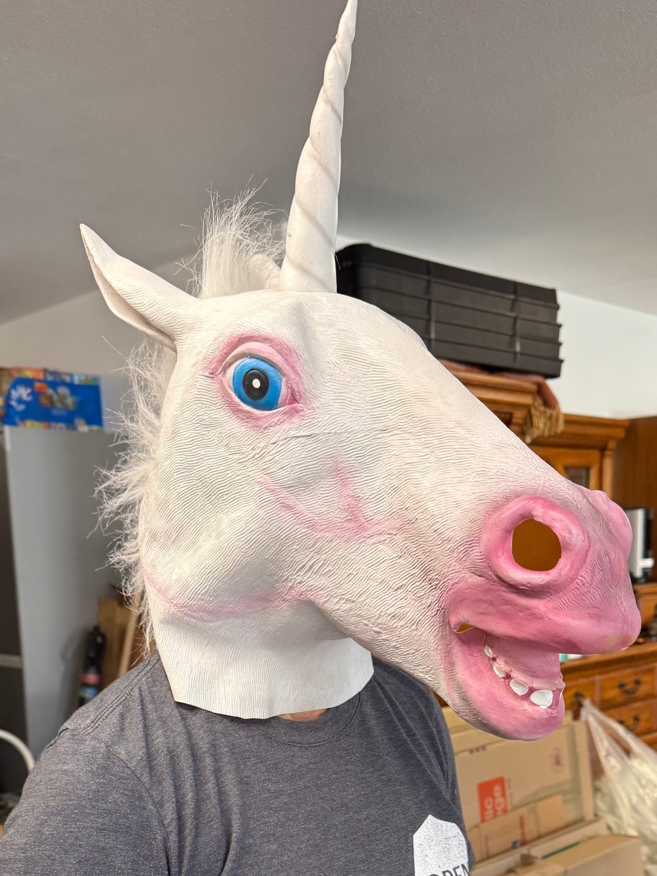 The Famous Unicorn Mask