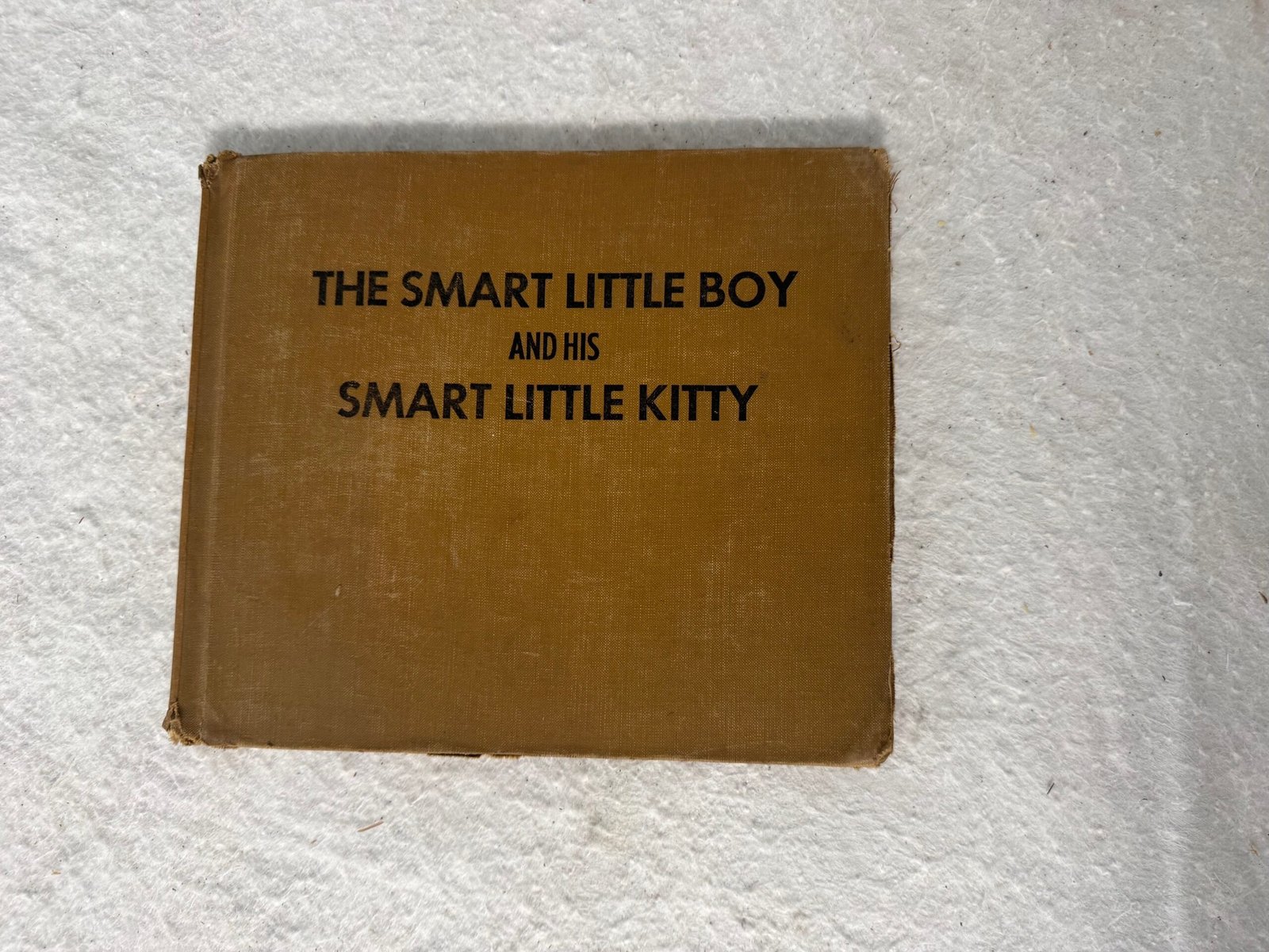 Old Book: “The Smart Little Boy and his Smart Little Kitty”